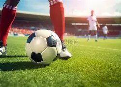 哈弗茨乐报,新生儿到,喜气洋洋,欧博登录入口,欧博平台,欧博注册网址,欧博app,欧博官网,欧博网站,欧博网页版